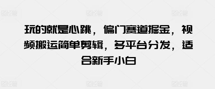 玩的就是心跳，偏门赛道掘金，视频搬运简单剪辑，多平台分发，适合新手小白【揭秘】-创客资源阁