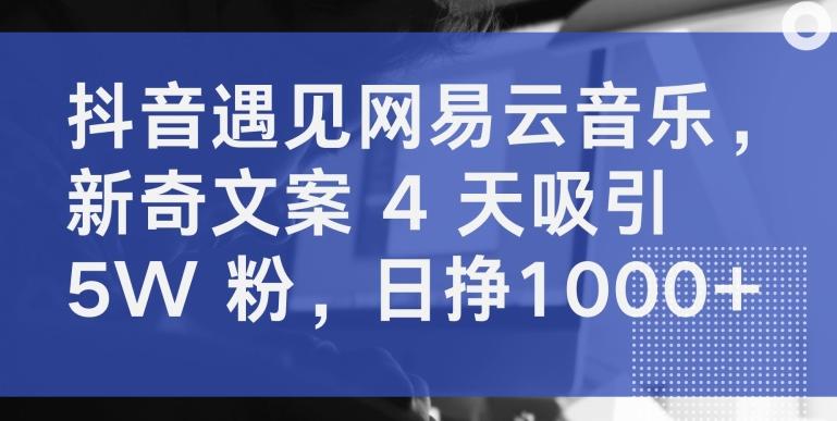 抖音遇见网易云音乐，新奇文案 4 天吸引 5W 粉，日挣1000+【揭秘】-创客资源阁