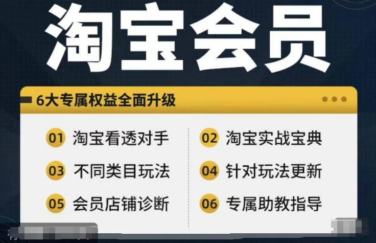 淘宝会员【淘宝所有课程，全面分析对手】，初级到高手全系实战宝典-创客资源阁