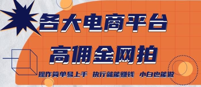 各大电商平台高佣金网拍，操作简单易上手，执行就能赚钱，小白也能做-创客资源阁