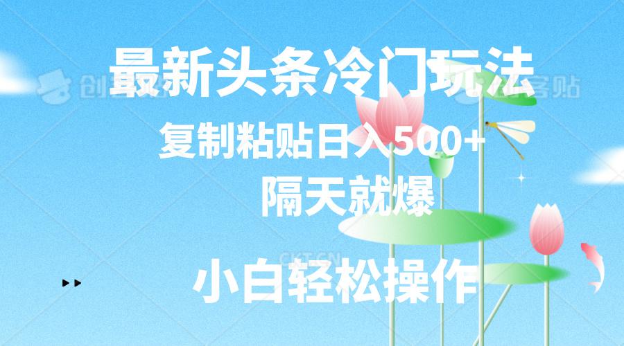 最新头条冷门玩法，隔天就爆，复制粘贴日入500+-创客资源阁