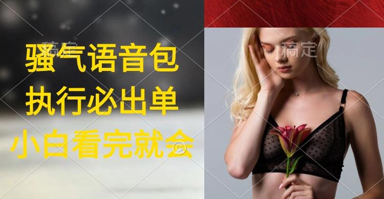 (9589期)执行就出单，日入2000+，超火骚气语音包，小白看完课程就能马上实操-创客资源阁