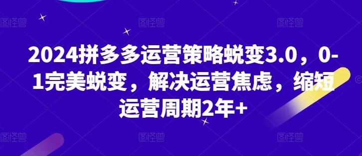 2024拼多多运营策略蜕变3.0，0-1完美蜕变，解决运营焦虑，缩短运营周期2年+-创客资源阁