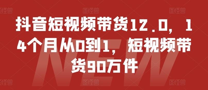 抖音短视频带货12.0，14个月从0到1，短视频带货90万件-创客资源阁