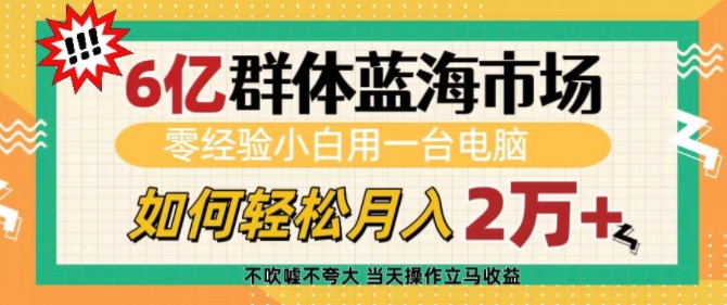 6亿群体蓝海市场，零经验小白用一台电脑，如何轻松月入过w【揭秘】-创客资源阁