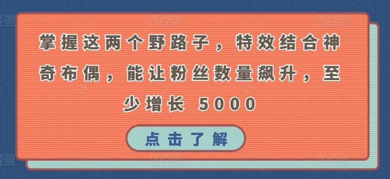 掌握这两个野路子，特效结合神奇布偶，能让粉丝数量飙升，至少增长 5000【揭秘】-创客资源阁