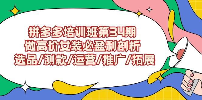 (9333期)拼多多培训班第34期：做高价女装必盈利剖析  选品/测款/运营/推广/拓展-创客资源阁