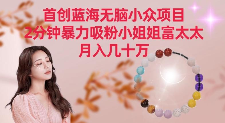 首创蓝海无脑小众项目，2分钟暴力吸粉小姐姐富太太，月入几十万【揭秘】-创客资源阁