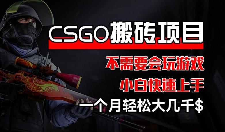 CSGO 装备搬砖项目，操作简单，不需要会玩游戏，小白也能快速上手，一个月轻松大几千【揭秘】-创客资源阁
