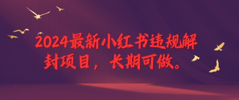 2024最新小红书违规解封项目，长期可做，一个可以做到退休的项目【揭秘】-创客资源阁