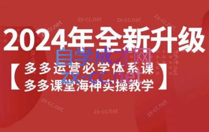 海神老师·拼多多运营必学体系课-创客资源阁