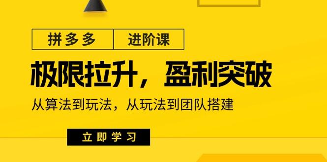 拼多多·进阶课：极限拉升/盈利突破：从算法到玩法 从玩法到团队搭建-18节-创客资源阁