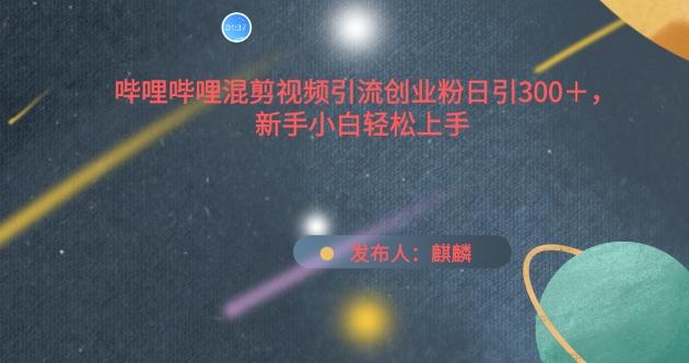 哔哩哔哩混剪视频引流创业粉日引300+，新手小白轻松上手【揭秘】-创客资源阁