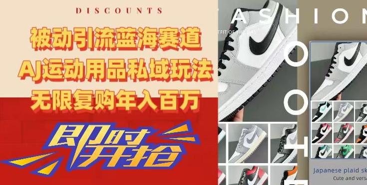 被动引流蓝海赛道，AJ运动用品私域玩法，无限复购年入百万【揭秘】-创客资源阁