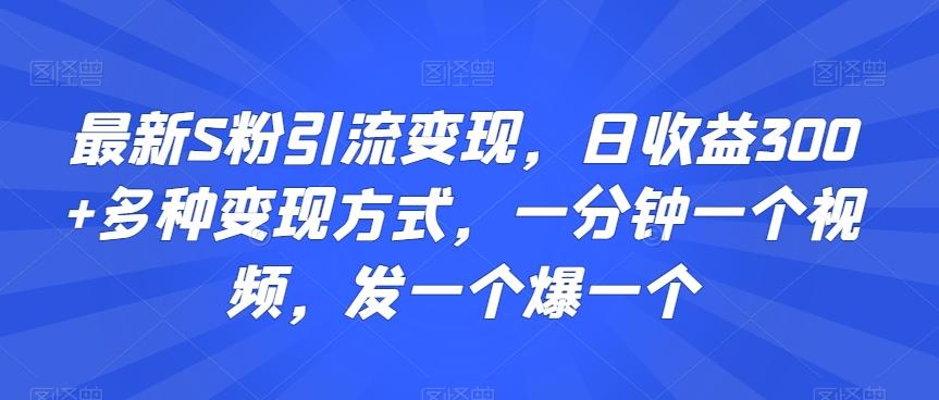 最新S粉引流变现，日收益300+多种变现方式，一分钟一个视频，发一个爆一个【揭秘】-创客资源阁
