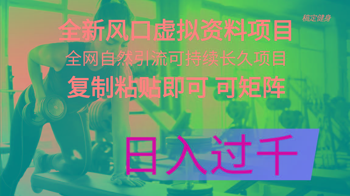 全新风口虚拟资料项目 全网自然引流可持续长久项目 复制粘贴即可可矩阵…-创客资源阁
