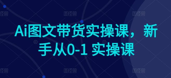 Ai图文带货实操课，新手从0-1 实操课-创客资源阁