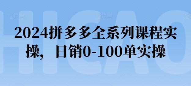 2024拼多多全系列课程实操，日销0-100单实操【必看】-创客资源阁