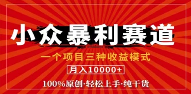 视频号最新爆火赛道，三种可收益模式，0粉新号条条原创条条热门 日入1000+-创客资源阁
