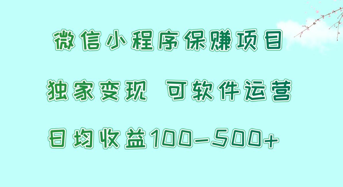 微信小程序保赚项目，日均收益100~500+，独家变现，可软件运营-创客资源阁