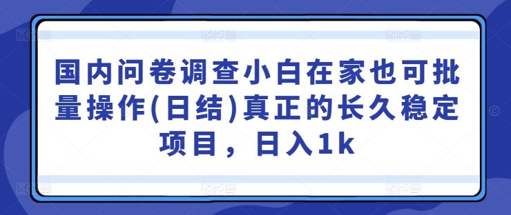 国内问卷调查小白在家也可批量操作(日结)真正的长久稳定项目，日入1k【揭秘】-创客资源阁