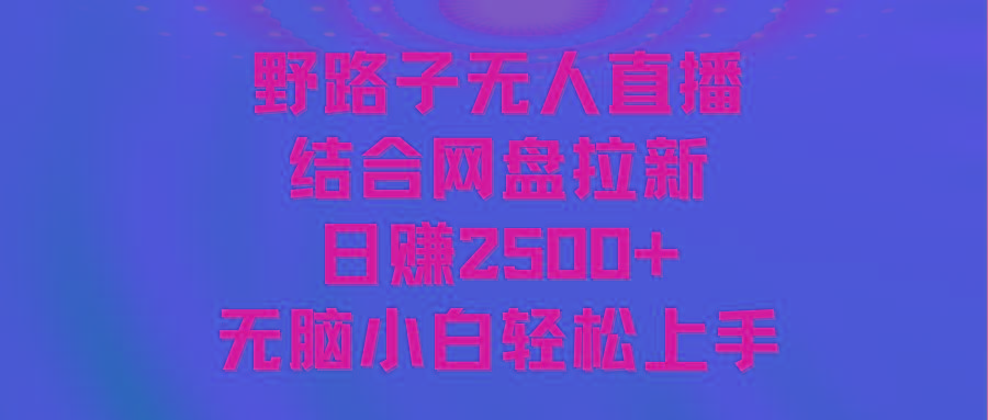 无人直播野路子结合网盘拉新，日赚2500+多平台变现，小白无脑轻松上手操作-创客资源阁