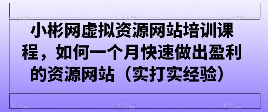 小彬网虚拟资源网站培训课程，如何一个月快速做出盈利的资源网站(实打实经验)-创客资源阁