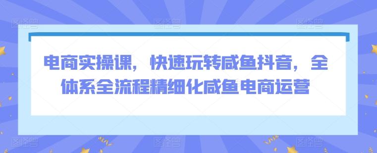 电商实操课，快速玩转咸鱼抖音，全体系全流程精细化咸鱼电商运营-创客资源阁