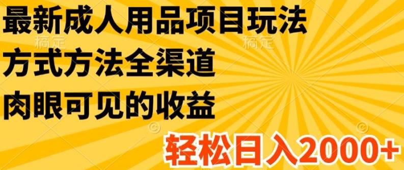 最新成人用品项目玩法，方式方法全渠道，轻松日入2K+【揭秘】-创客资源阁