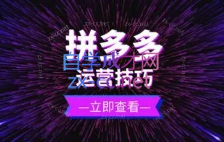 力辛电商·拼多多强付费店群玩法-创客资源阁