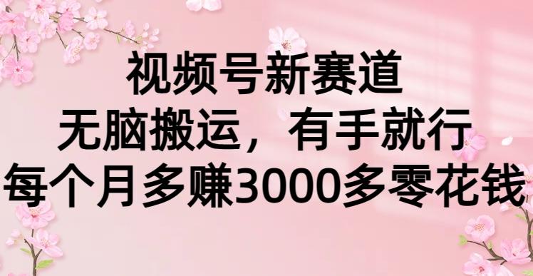 (9278期)视频号新赛道，无脑搬运，有手就行，每个月多赚3000多零花钱-创客资源阁