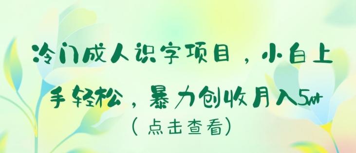 冷门成人识字项目，小白上手轻松，暴力创收月入5w+【揭秘】-创客资源阁