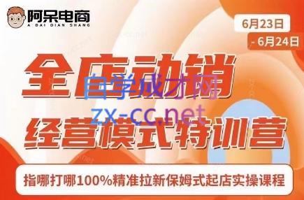 阿呆电商·全店动销经营模式特训营(线下录音+思维导图)-创客资源阁