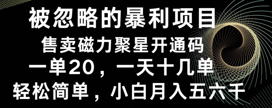被忽略的暴利项目！售卖磁力聚星开通码，一单20，一天十几单，轻松月入五六千-创客资源阁
