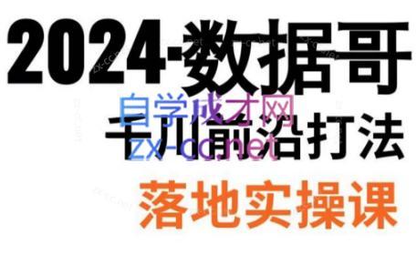 数据哥·2024年千川前沿打法落地实操课-创客资源阁