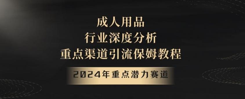 2024年重点潜力赛道，成人用品行业深度分析，重点渠道引流保姆教程【揭秘】-创客资源阁