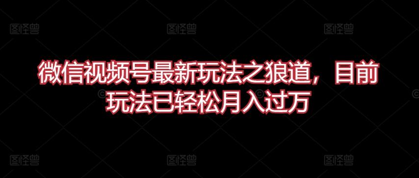 微信视频号最新玩法之狼道，目前玩法已轻松月入过万【揭秘】-创客资源阁