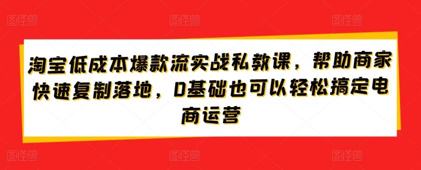 淘宝低成本爆款流实战私教课，帮助商家快速复制落地，0基础也可以轻松搞定电商运营-创客资源阁