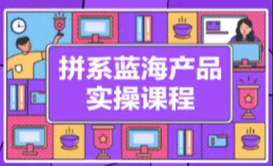 拼系冷门蓝海产品实操课程，从注册店铺到选品上架到流量维护环环相扣-创客资源阁