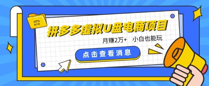 拼多多虚拟U盘电商红利项目：月赚2万+，新手小白也能玩-创客资源阁