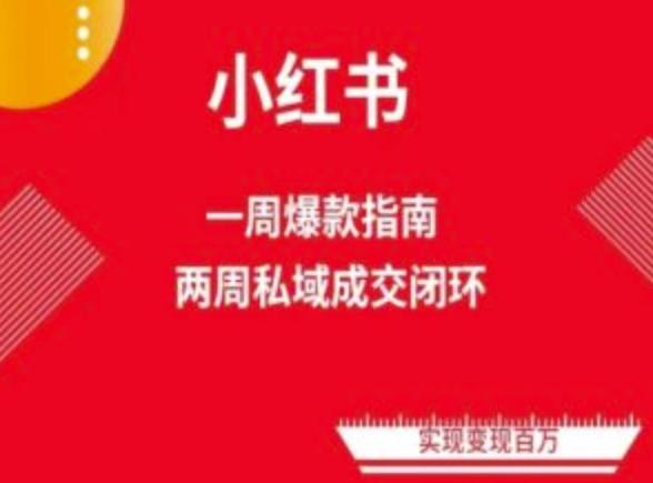 爆款小红书免费流量体系课程(两周变现)，小红书电商教程-创客资源阁
