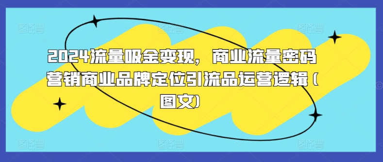 2024流量吸金变现，商业流量密码营销商业品牌定位引流品运营逻辑(图文)-创客资源阁