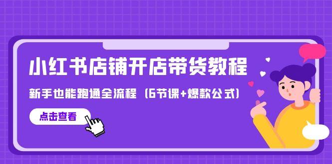 (9883期)最新小红书店铺开店带货教程，新手也能跑通全流程(6节课+爆款公式)-创客资源阁