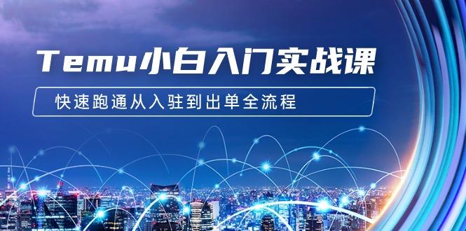 (9295期)Temu小白入门实战课：跨境拼多多电商培训 快速跑通从入驻到出单全流程-12节-创客资源阁