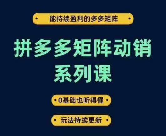 拼多多矩阵动销系列课，能持续盈利的多多矩阵，0基础也听得懂，玩法持续更新-创客资源阁