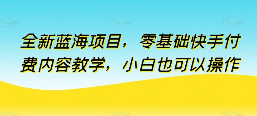 全新蓝海项目，零基础快手付费内容教学，小白也可以操作【揭秘】-创客资源阁