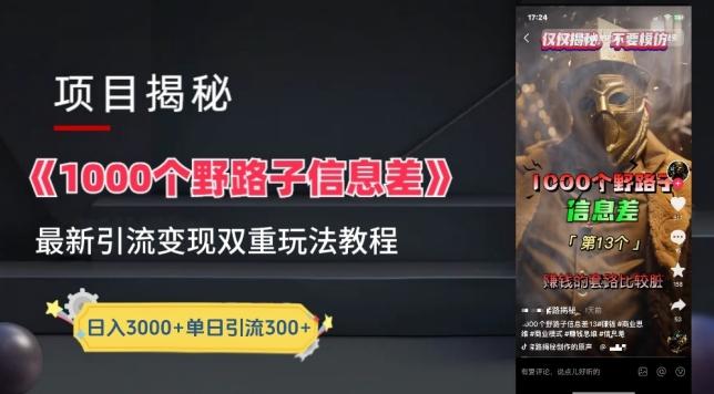 一千个野路子信息差最新玩法教程-变现+引流的玩法具体拆解【揭秘】-创客资源阁