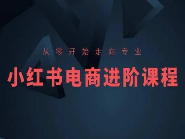 从零开始走向专业，小红书电商进阶课程-创客资源阁
