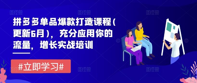 拼多多单品爆款打造课程(更新6月)，充分应用你的流量，增长实战培训-创客资源阁