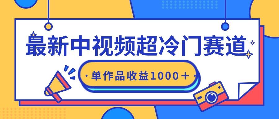 (9275期)最新中视频超冷门赛道，轻松过原创，单条视频收益1000＋-创客资源阁
